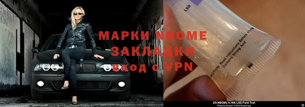 сатива Бронницы
