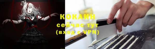 mix Бородино