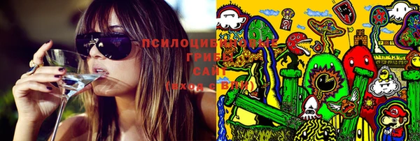 mix Бородино