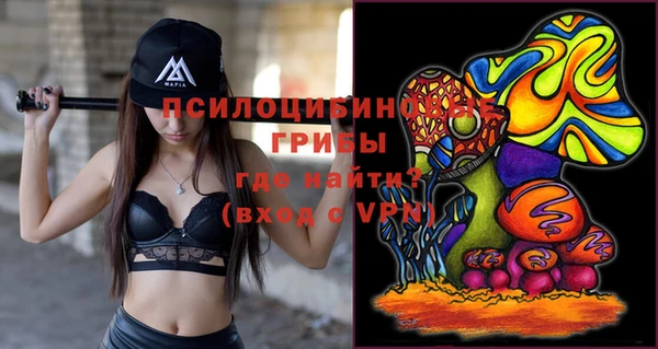 mix Бородино
