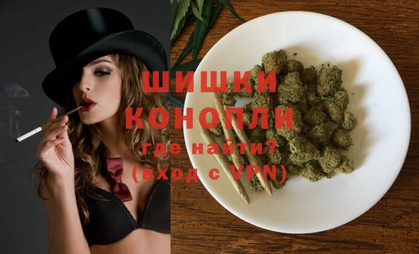сатива Бронницы