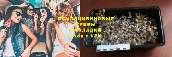 сатива Бронницы