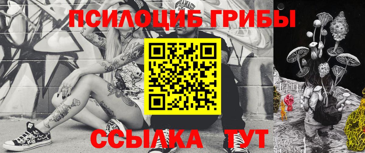 Псилоцибиновые грибы Cubensis  Вход с VPN  где купить наркоту  Саров 