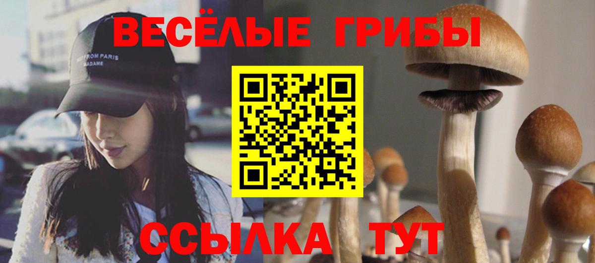 Псилоцибиновые грибы ЛСД Саров